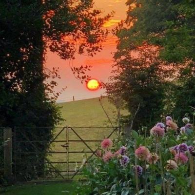 澳州幸运5官方app