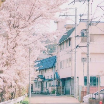 凤凰彩票下载中心