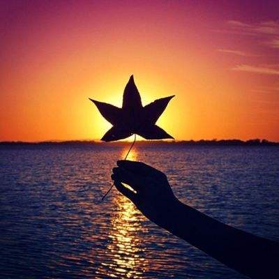 足球下赌注app-登录入口