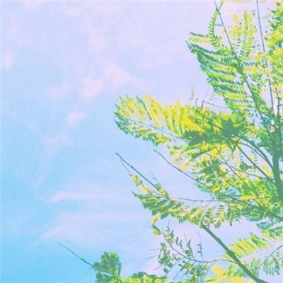 足球下赌注app-登录入口